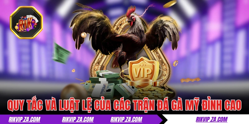 Quy tắc và luật lệ của các trận đá gà Mỹ đỉnh cao